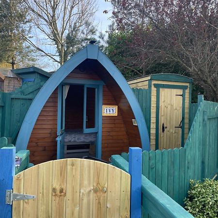 Hotel Glamping In The 2Nd Field Aughrim Esterno foto
